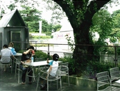 木陰の席がおすすめです