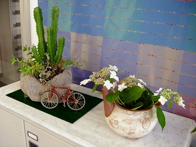物流センターのお花