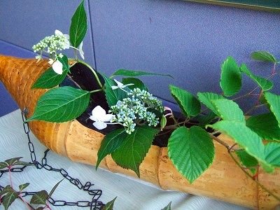 竹容器の本社のお花