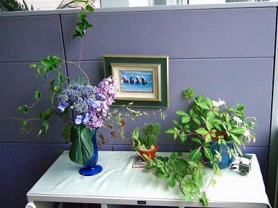 本社のお花