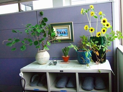 本社のお花