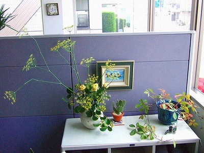 本社のお花