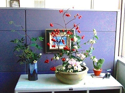 本社のお花