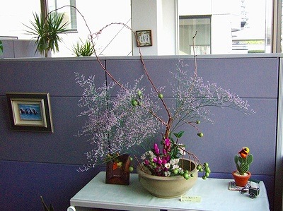 本社のお花