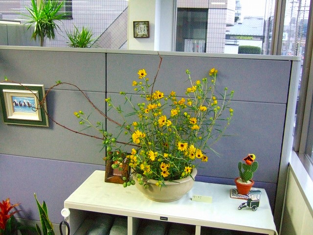 本社のお花