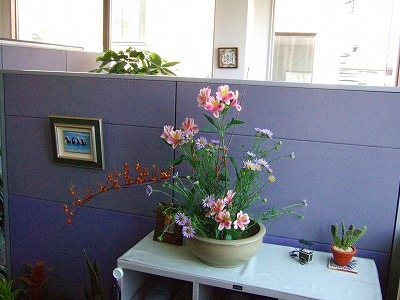 本社のお花