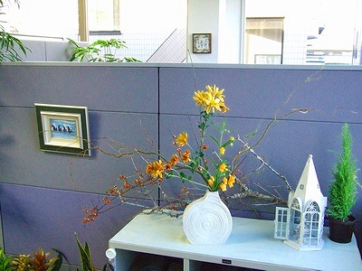 本社のお花