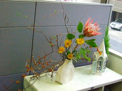 本社のお花
