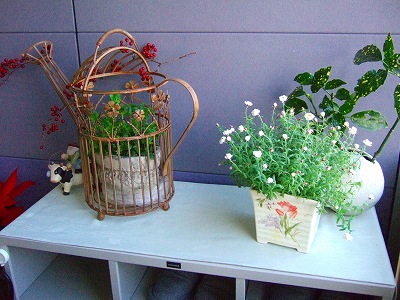 オリヤス本社のお花