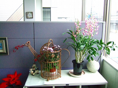 オリヤス本社のお花