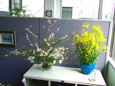 オリヤス本社のお花