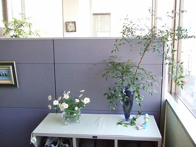 オリヤス本社のお花
