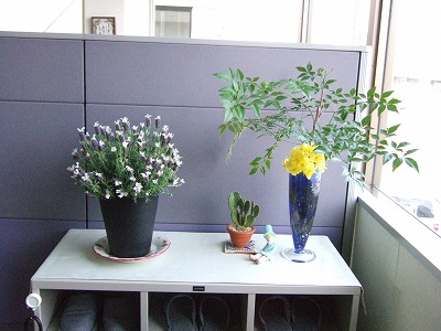 オリヤス本社のお花