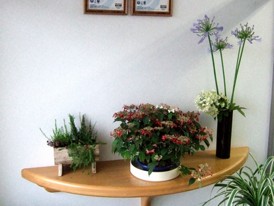 オリヤス物流センターのお花