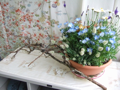 オリヤス本社のお花