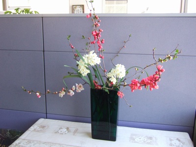 オリヤス本社のお花