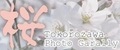 桜・所沢ギャラリー