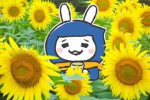 7月販促ヒント-イメージ画像。