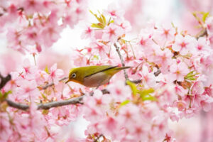 3月販促ヒント-イメージ画像。