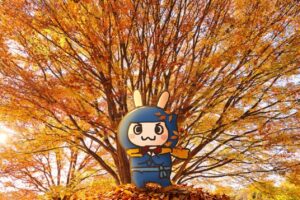 11月販促ヒント-イメージ画像。