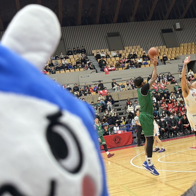 観戦するうさにん